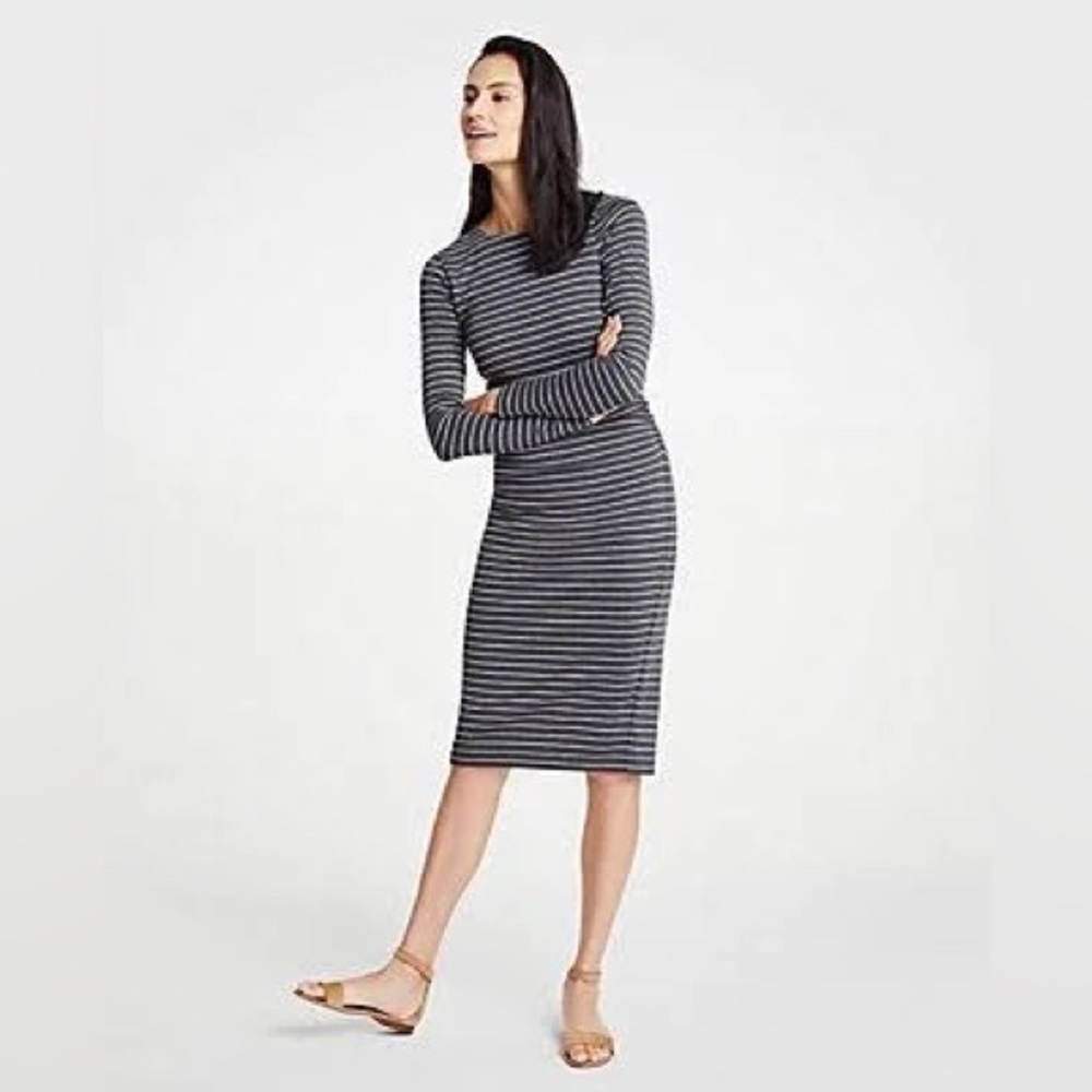 FREE 🩶 Ann Taylor Gray Striped Sheath Dress